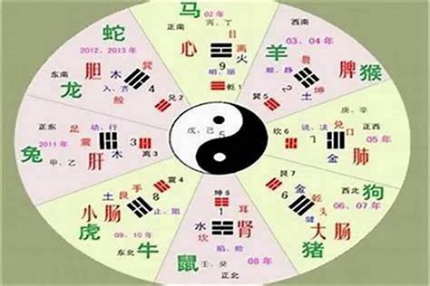 金土字|五行汉字属性查询